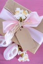 Baby shower Its a Girl natural wrap gift