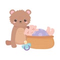 Baby shower, little boy in basket with teddy bear and pacifier, celebration welcome newborn