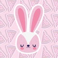 Baby shower love rabbit head watermelon slices background Royalty Free Stock Photo