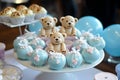 Baby shower party for boy. Tasty treats in room decorated with balloons Royalty Free Stock Photo