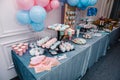 Baby Shower party decor. Delicious reception. Celebration concept. Trendy candy bar. Table with sweets, candies, dessert. Photo Royalty Free Stock Photo