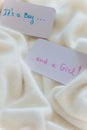 Baby shower `It`s a boy...and a girl`, announcement card on cozy warm white blanket with space for text. Twins arrivals Royalty Free Stock Photo