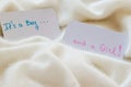 Baby shower `It`s a boy...and a girl`, announcement card on cozy warm white blanket with space for text Royalty Free Stock Photo