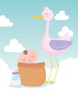 Baby shower, stork and little boy in basket, celebration welcome newborn