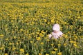 Baby siting at dandelions meadow Royalty Free Stock Photo