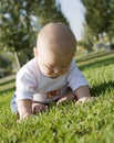 Baby sitting on grass playing