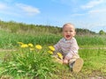 Baby sitting on a green meadow with yellow flowers dandelions Royalty Free Stock Photo