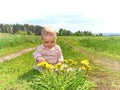Baby sitting on a green meadow with yellow flowers dandelions Royalty Free Stock Photo
