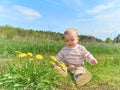 Baby sitting on a green meadow with yellow flowers dandelions Royalty Free Stock Photo