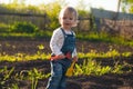 Baby sitting on the ground with shovel and rake in sunlight. Cute summer blond girl in the garden Royalty Free Stock Photo