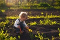 Baby sitting on the ground with shovel and rake in sunlight. Cute summer blond girl in the garden Royalty Free Stock Photo