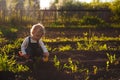 Baby sitting on the ground with shovel and rake in sunlight. Cute summer blond girl in the garden Royalty Free Stock Photo