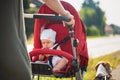 Baby girl sitting in stroller on a walk with mom and dog. Royalty Free Stock Photo