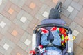 Baby sleeping three-wheel stroller outdoor. Child in bright casual costume lying at big comfortable pram. Parent walking