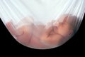 Baby is sleeping in white net hammock Royalty Free Stock Photo