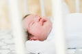 The baby sleeps in the crib. A charming baby sleeps in a crib for sleeping attached to the bed of the parents. A small child Royalty Free Stock Photo