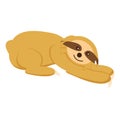 Baby sloth lying, playing and relaxing. Cute and funny. Flat cartoon style. Nature and ecology. Southern and Central America fauna