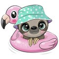 Baby Sloth in panama hat swimming on pool ring inflatable flamingo