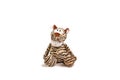 Baby soft toy tiger sitting on white background Royalty Free Stock Photo