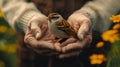 A baby sparrow learning to fly is injured. In the hands of helpers Royalty Free Stock Photo