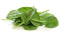 Baby Spinach Royalty Free Stock Photo