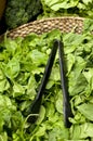 Baby Spinach in basket Royalty Free Stock Photo