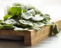 Baby spinach leaf on the kitchen wooden board Royalty Free Stock Photo