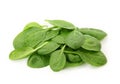 Baby spinach leaves Royalty Free Stock Photo