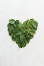 Baby spinach leaves arranges as heart shape on white background.