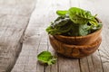 Baby spinach leaves in bowl Royalty Free Stock Photo