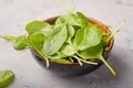 Baby spinach leaves in bowl  on grey concrete background, top view, copy space. Clean eating, detox, diet food ingredient Royalty Free Stock Photo