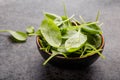 Baby spinach leaves in bowl  on grey concrete background, top view, copy space. Clean eating, detox, diet food ingredient Royalty Free Stock Photo