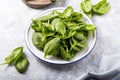 Baby spinach leaves in bowl on grey concrete background, top view, copy space. Clean eating, detox, diet food ingredient Royalty Free Stock Photo