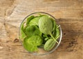 Baby spinach leaves in the glass bowl Royalty Free Stock Photo