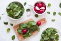 Baby spinach leaves and gresh radishes in white bowls and on cutting board on white kitchen table. Royalty Free Stock Photo