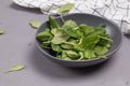 Baby spinach leaves in a rustic bowl on the gray stone background Royalty Free Stock Photo