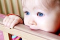 Baby In Standing In Crib Royalty Free Stock Photo