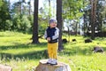 Baby standing on stub in forest Royalty Free Stock Photo
