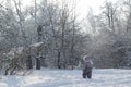 Baby step against snow forest winter oudoors Royalty Free Stock Photo