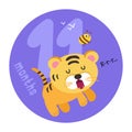 Baby sticker icon with cute little tiger animal eleven months old baby. Vector illustration in cartoon scandinavian