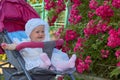Baby in a stroller in roses,in pink roses baby with a stroller sitting