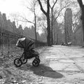 baby stroller walking in the park summer day