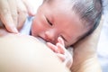 Baby Sucking from mother`s breast. Breastfeeding concept. breastfeeding and infant. Royalty Free Stock Photo