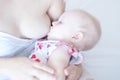 Baby sucks mother`s breast, breast milk feeding newborn baby Royalty Free Stock Photo