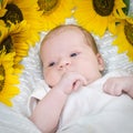 Baby with sunflower