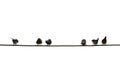 Baby swallows waiting their mom on the wire Royalty Free Stock Photo