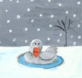 Baby swan in the winter Royalty Free Stock Photo