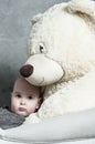 The baby and teddy bear Royalty Free Stock Photo