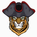 Baby tiger, small little tiger for children. Animal wearing pirate headdress. Sailor portrait.