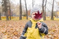 Baby toddler hides her face behind red fallen maple leaf looking with one eye on Sunny autumn day in Park